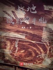 贴身狂兵叶沉浮