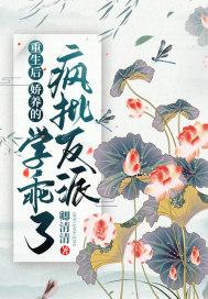 凉婚内容概括