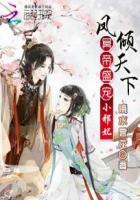 邵阳薛嘉嘉叫什么书名