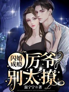 南树是什么意思