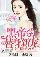 天下孤城 电视剧