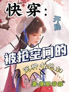 方寸仙域