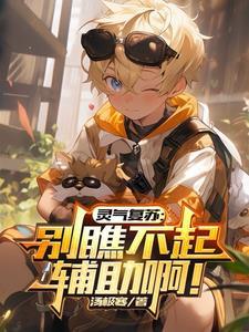 权力巅峰之路