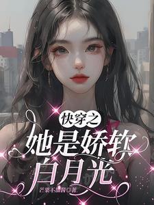 权力巅峰之我不是青天
