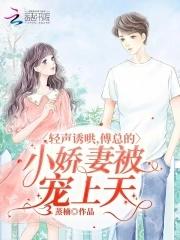 特工赘婿皇上求我娶公主