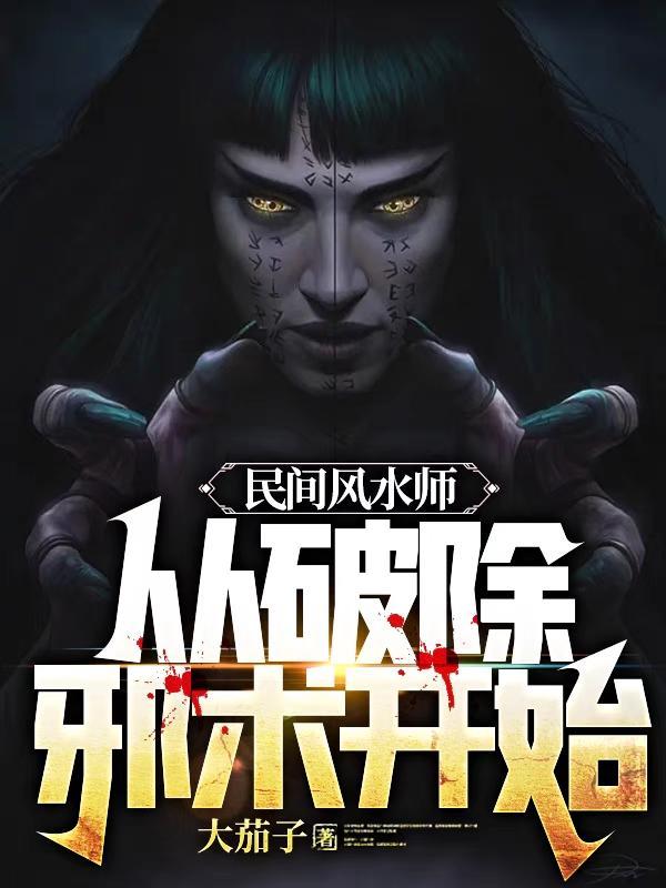 特工穿越成赘婿