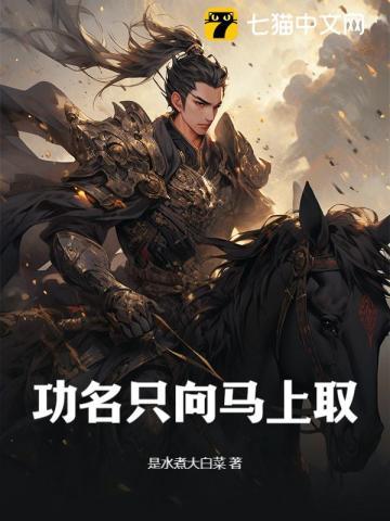宝可梦：一块石板的旅途