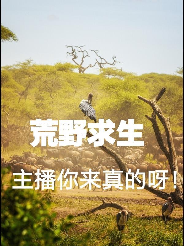 重走人生路之我是小厂医笔趣阁