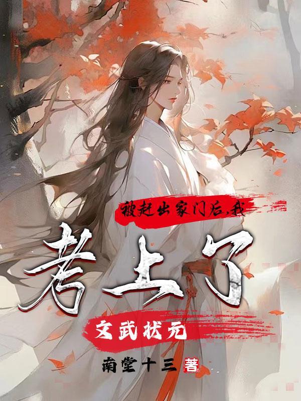 苟在明末之自古英雄出少年 心慈道人