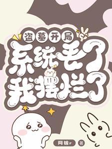 一介武夫的介是什么意思