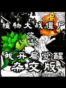 重生之风起夏末