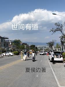 重生之风起全集