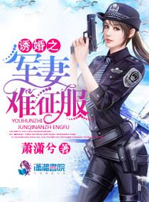 流浪骑士开局我有简易数据面板