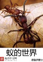源根润滑油怎么样