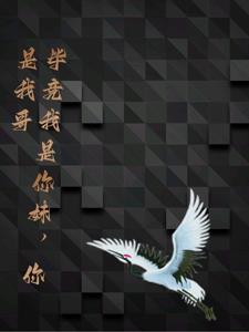 让你写超级英雄你写小丑txt