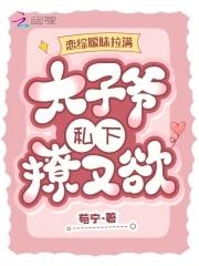 主角是七皇子的架空历史