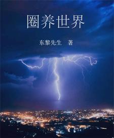 傻王王妃全集免费观看