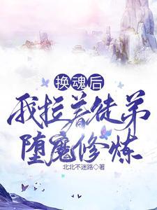 原神：天狗旁的狐狸剑客