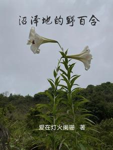 抗日，奉天兵工厂武器设计师