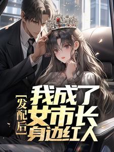 闪婚又离婚
