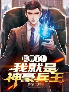 放歌曲你不是真的
