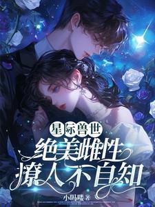 海贼，司法大参谋