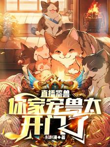 游侠剑雨流加点