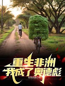 星系级别