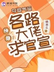 轮回之始攻略