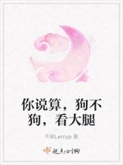 篮坛之开局