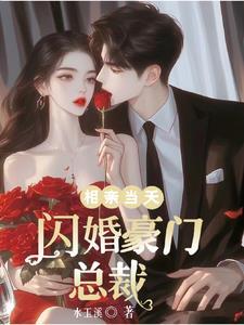 闪婚总裁宠你入怀全文阅读