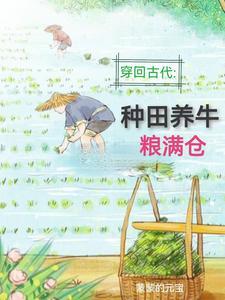输出高亿点怎么了作者半壁形的玉