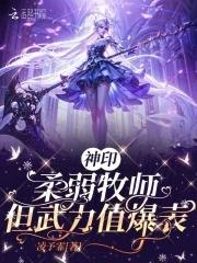 守护梦想的小小守护者攻略