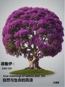清穿之多尔衮的小丫头