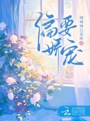 是风叔