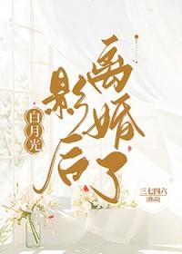 四合院的货车司机陈平安