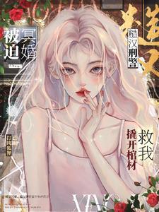 表姑娘[穿书