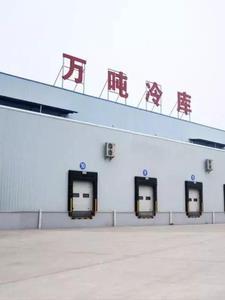 神豪从甩掉101女友开始