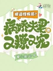 穿越万界之fate神父免费阅读