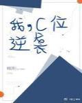护法啥意思
