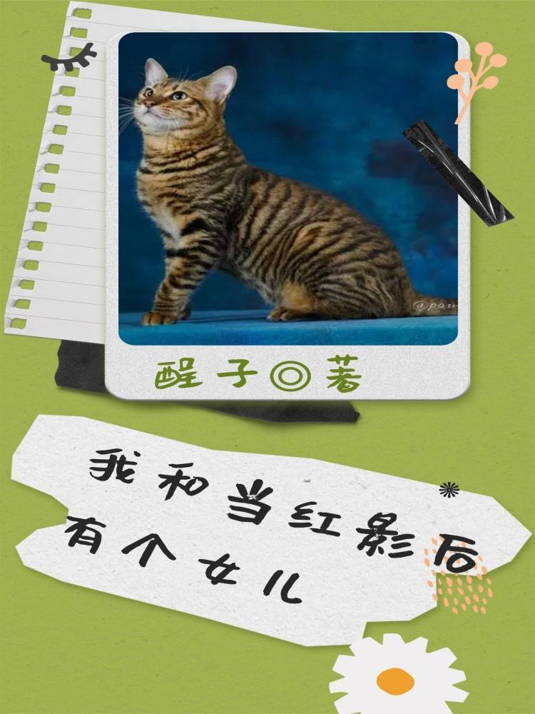李世民和韦妃